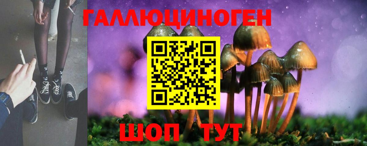 Галлюциногенные грибы прущие грибы  Псилоцибиновые грибы GOLDEN TEACHER  Вход с VPN  купить  сайты  Кинель 