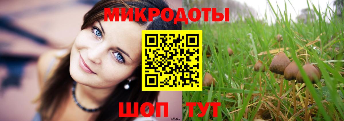 Галлюциногенные грибы прущие грибы Кинель